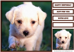 Cute Dog Quick Card 3