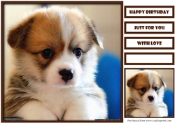 Cute Dog Quick Card 8