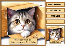 Funny Kitten Quick Card
