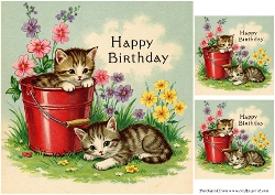 Happy Birthday Kittens Quick Card