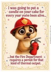 DD FUNNY BIRTHDAY A4 1