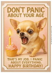 DD FUNNY BIRTHDAY A4 32