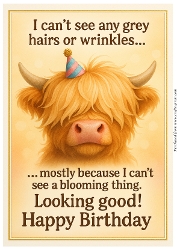 DD FUNNY BIRTHDAY A4 33