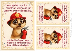 DD FUNNY BIRTHDAY TOPPERS 1