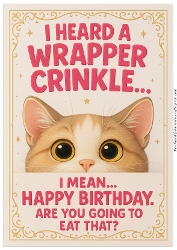 DD FUNNY BIRTHDAY A4 49