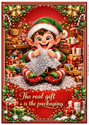 DD GOLDEN CHRISTMAS A4 62