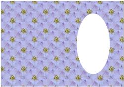 Floral Insert 2