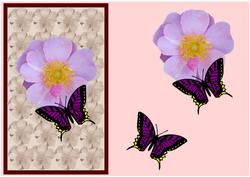 Pink Flower with Butterfly