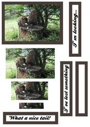 Humourous Monkey Scene Pyramid