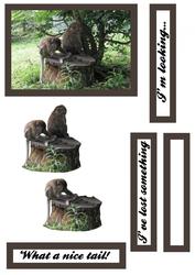 Humourous Monkey Scene Quick Card