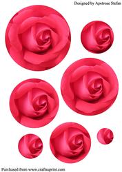 Floral Rose Circle Pyramid 2