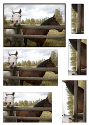 Two Horses Behind a Fence Pyramid