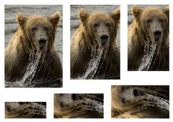 Brown Bear Fishing Pyramid