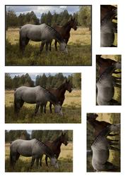 Two Horses Pyramid