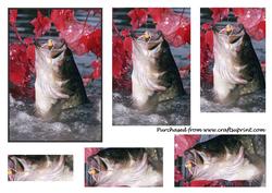 Bass Fishing in the Fall Pyramid