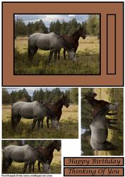 Two Horses Quick Card