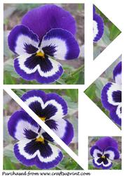 Blue Pansy Triangle Corner Stacker