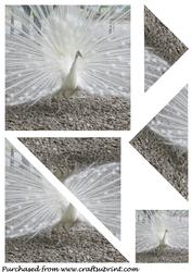 White Peacock Triangle Corner Stacker