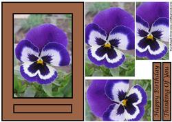 Blue Pansy Quick Card