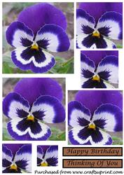 Blue Pansy Square Pyramid