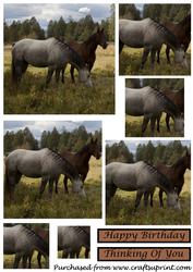 Two Horses Square Pyramid