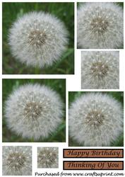 Dandelion Seed Head Square Pyramid