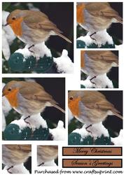 Christmas Robin Square Pyramid