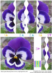 Blue Pansy Square Wavy Side Stacker