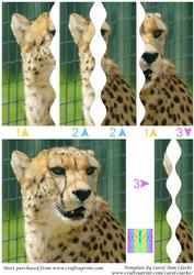 Cheetah Square Wavy Side Stacker