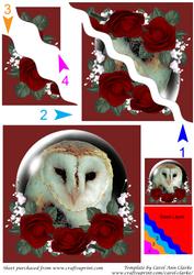 Barn Owl Globe Square Wavy Corner Stacker