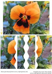 Orange Pansy Wavy Side Stacker