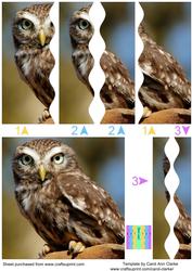 Little Owl Square Wavy Side Stacker