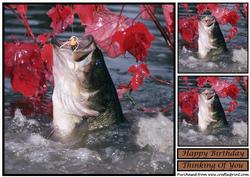 Bass Fishing in the Fall Topper
