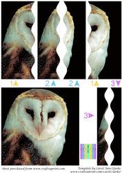 Barn Owl Square Wavy Side Stacker