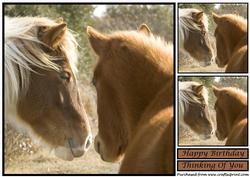 Wild Horses Topper
