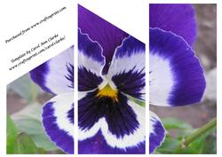 Blue Pansy Cascade Card