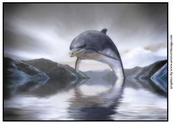 Dolphin Fantasy A4