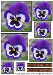 Blue Pansy Toppers