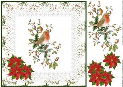 Christmas Robin on Branch