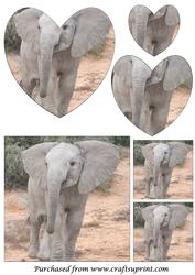 Cute Baby Elephant Heart Shaped Pyramid