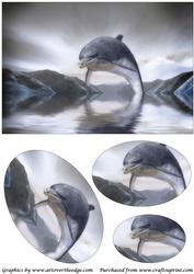 Dolphin Fantasy Oval Pyramid