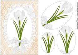 White Crocus Oval Pyramid