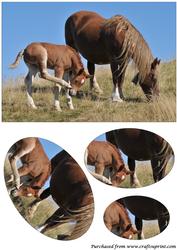 Mare and Foal Oval Pyramid
