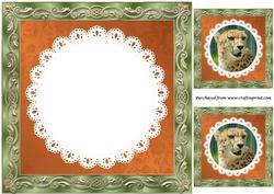 Cheetah Insert 2