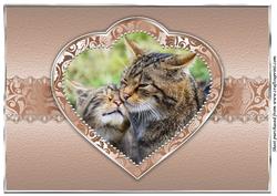 Scottish Wildcat with Her Kitten A4