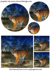 Mountain Tiger Circle Pyramid