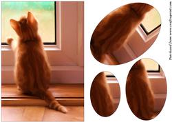 Cat at Window Oval Pyramid