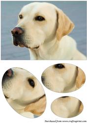 Cute Dog Oval Pyramid 1