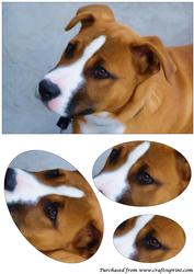 Cute Dog Oval Pyramid 2