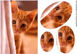 Curious Kitten Painting Oval Pyramid